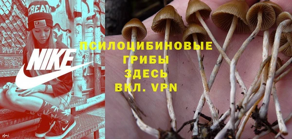 стафф Алексеевка