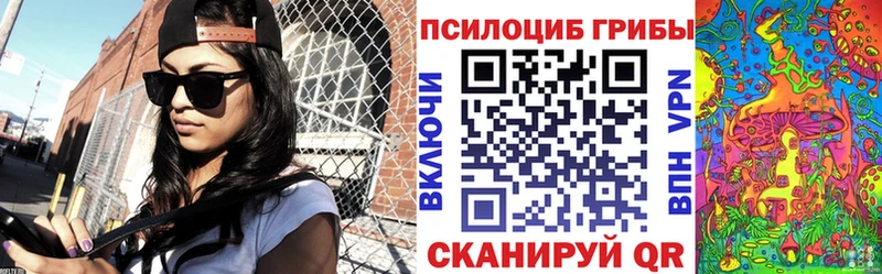 Галлюциногенные грибы Cubensis  Тосно 