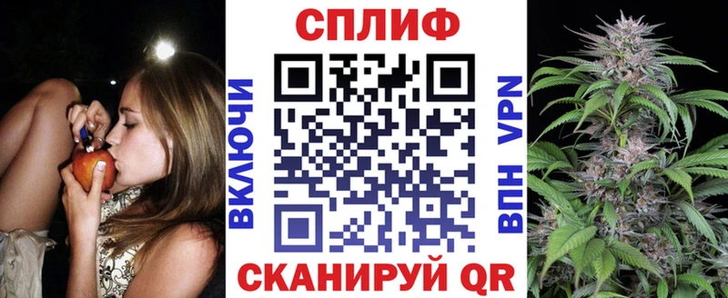 Марихуана сатива  наркотики  Тосно 